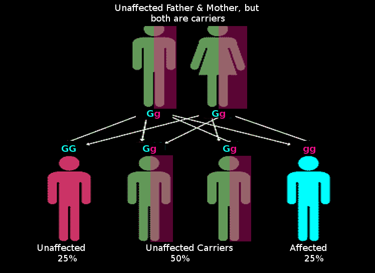 Autosomal recessive inheritance