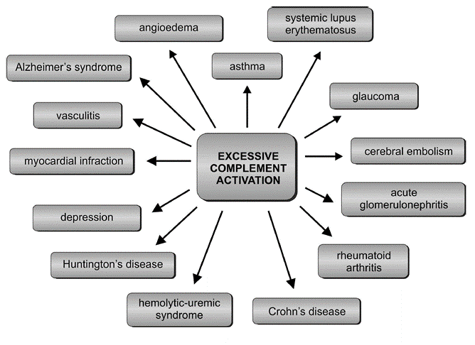 <p>Excessive Complement Activation</p>