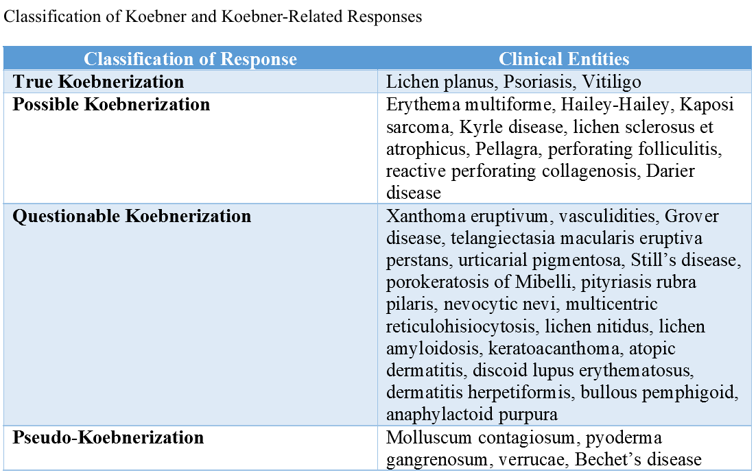 <p>Classification of Koebner and Koebner-Related Responses</p>