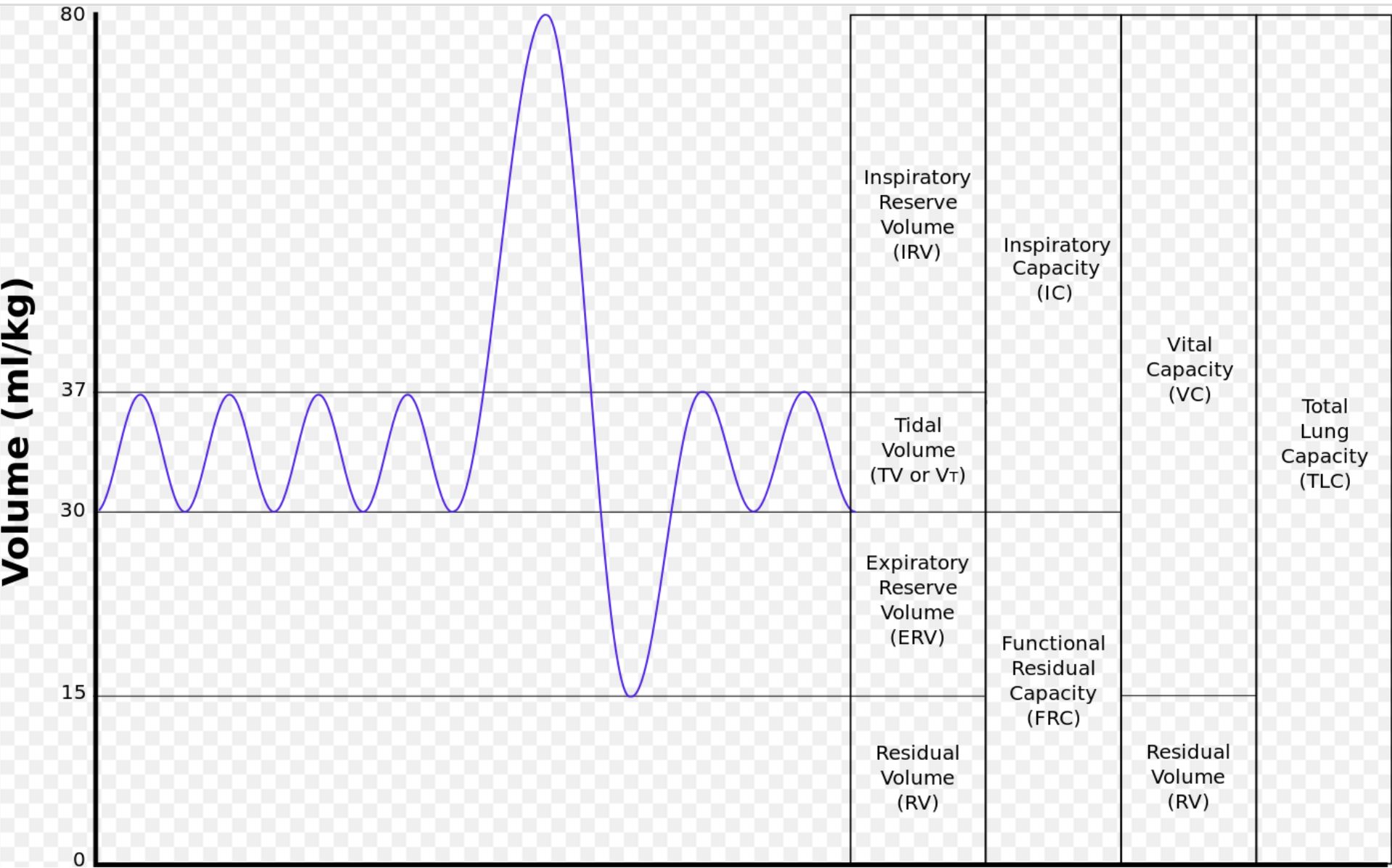 Pulmonary Function Testing