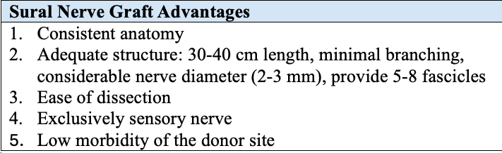 <p>Advantages of Sural Nerve Graft Use for Nerve Gap Reconstruction</p>