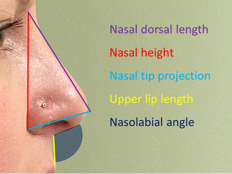 <p>Nasal Measurement Definitions