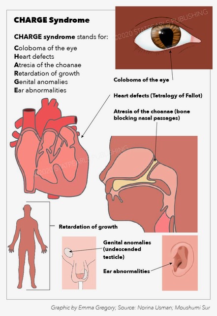 <p>CHARGE Syndrome