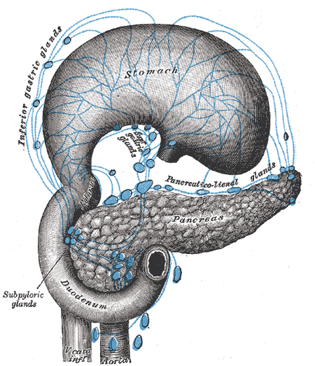 <p>Lymphatics and Drainage of the Pancreas