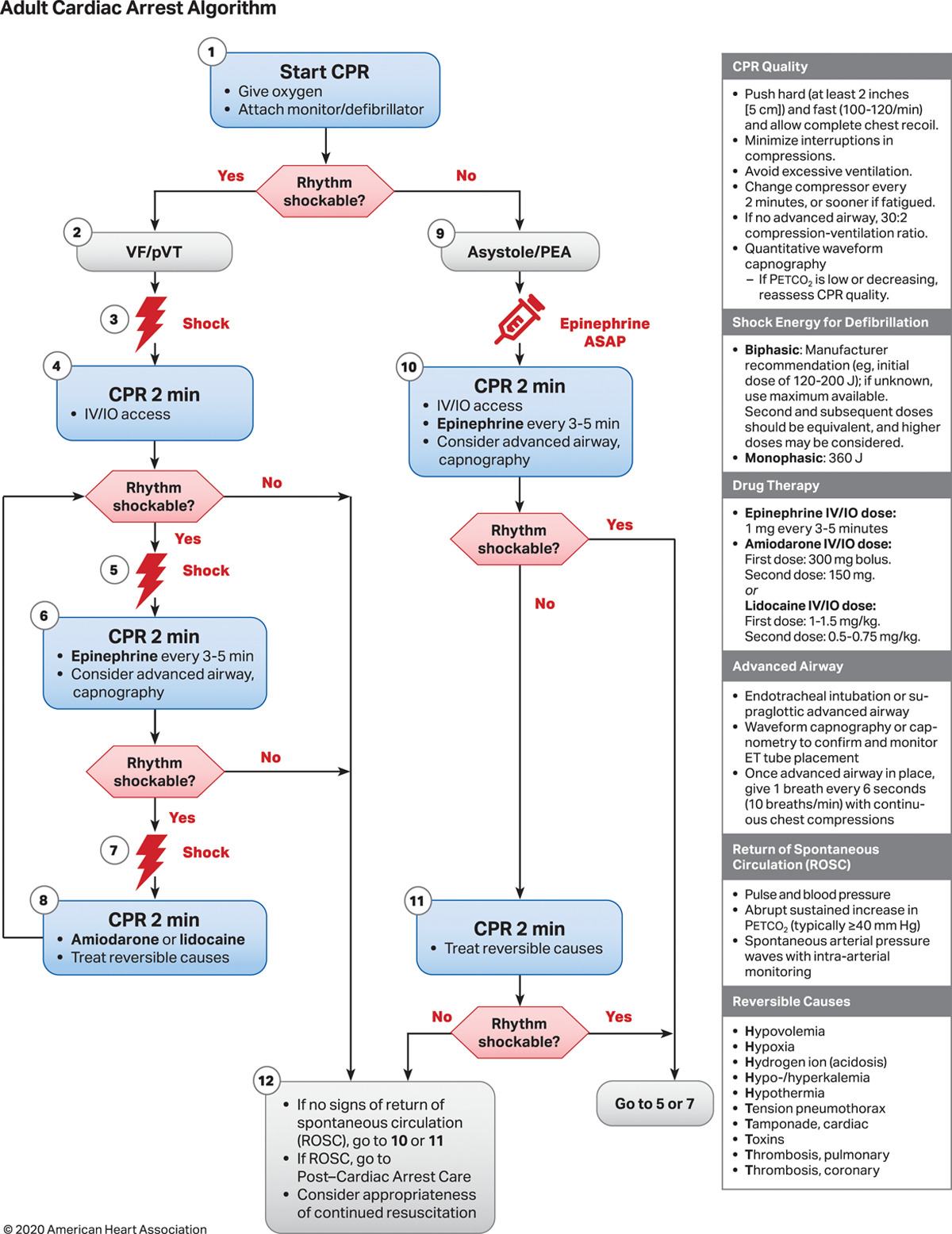 <p>Adult Cardiac Arrest Algorithm 2020