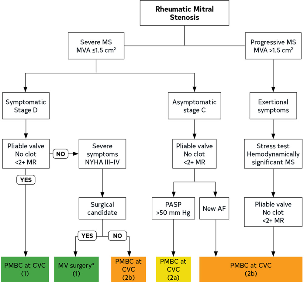 <p>Treatment Flowchart for Rheumatic Mitral Valve Stenosis.&nbsp;</p>