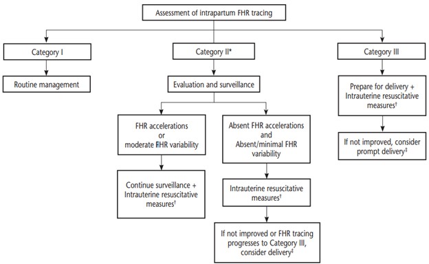 <p>Management Algorithm of Intrapartum Fetal Heart Rate Tracings.</p>
