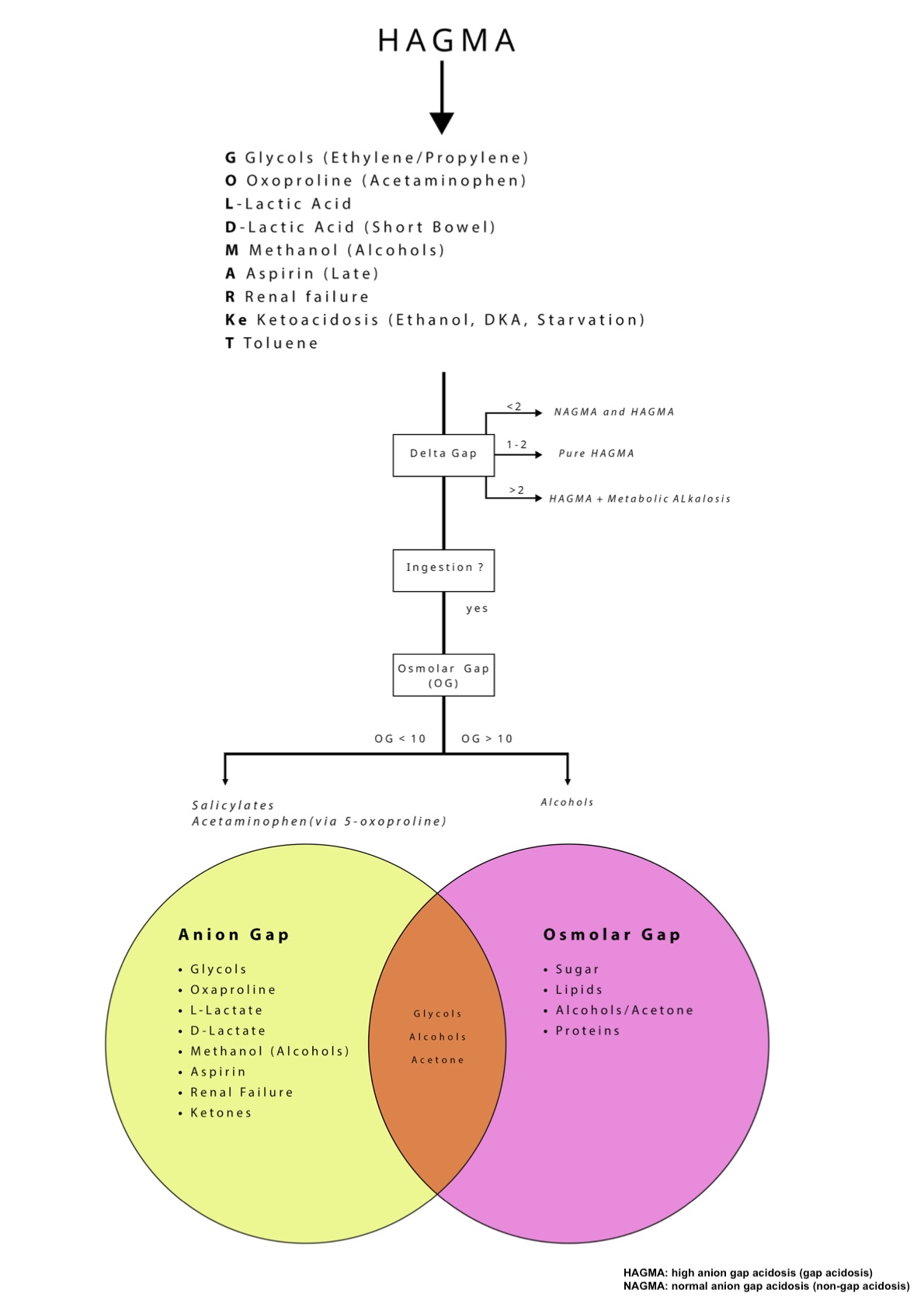 <p>Algorithm for Assessing Anion Gap and Non-Anion Gap Acidosis</p>