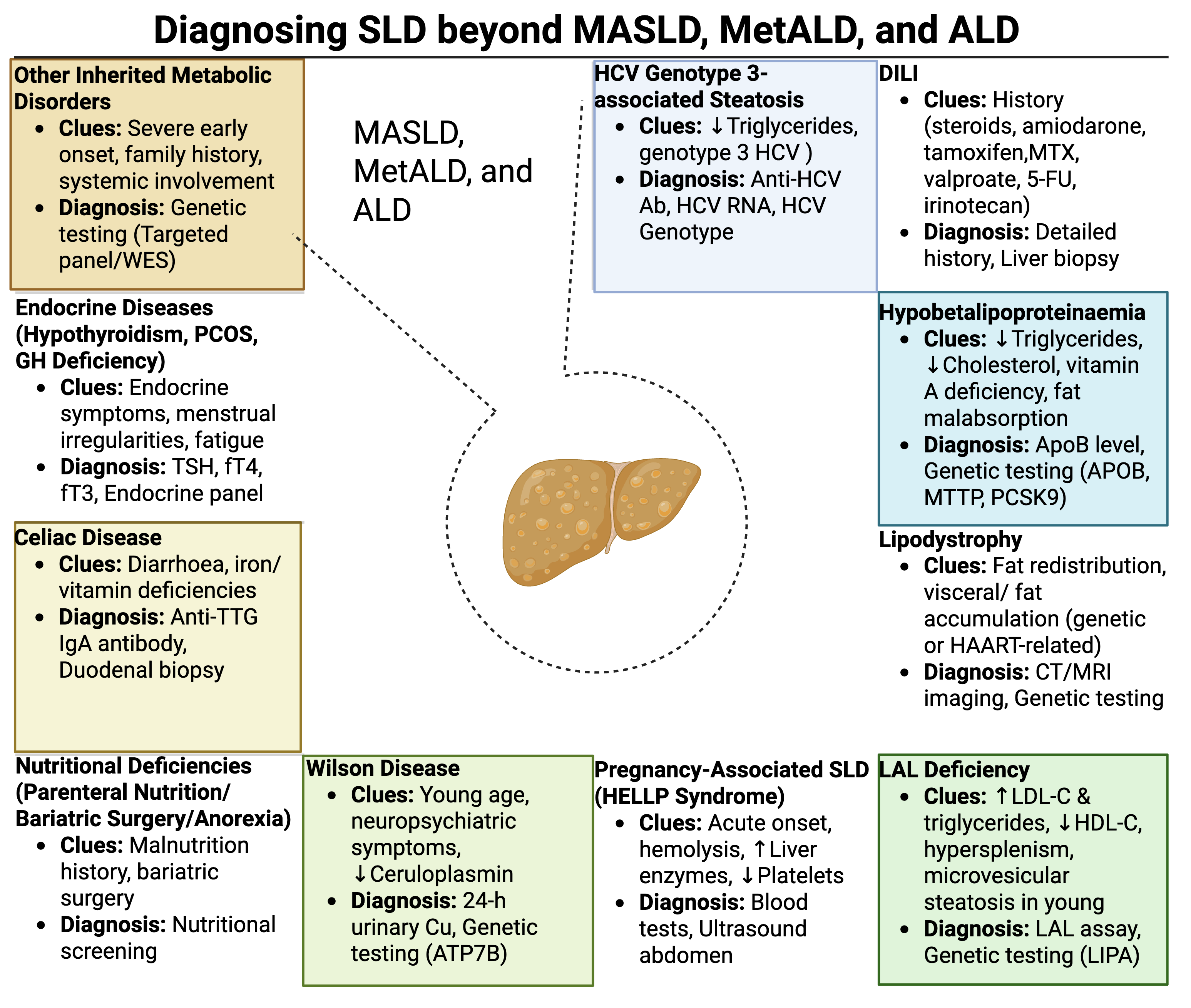 <p>Steatotic Liver Disease Diagnosis