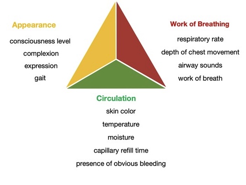 <p>Pediatric Assessment Triangle
