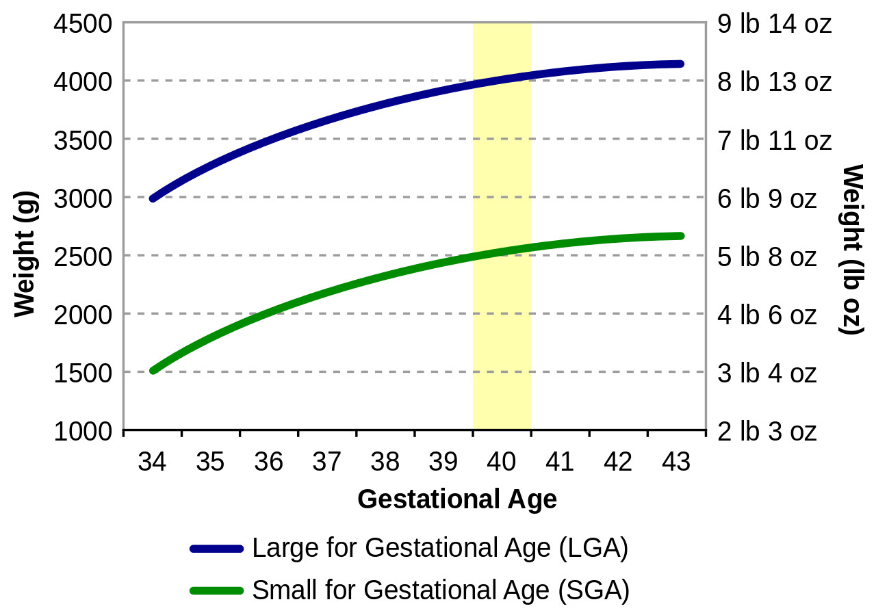 <p>Birth Weight for Gestational Age Chart