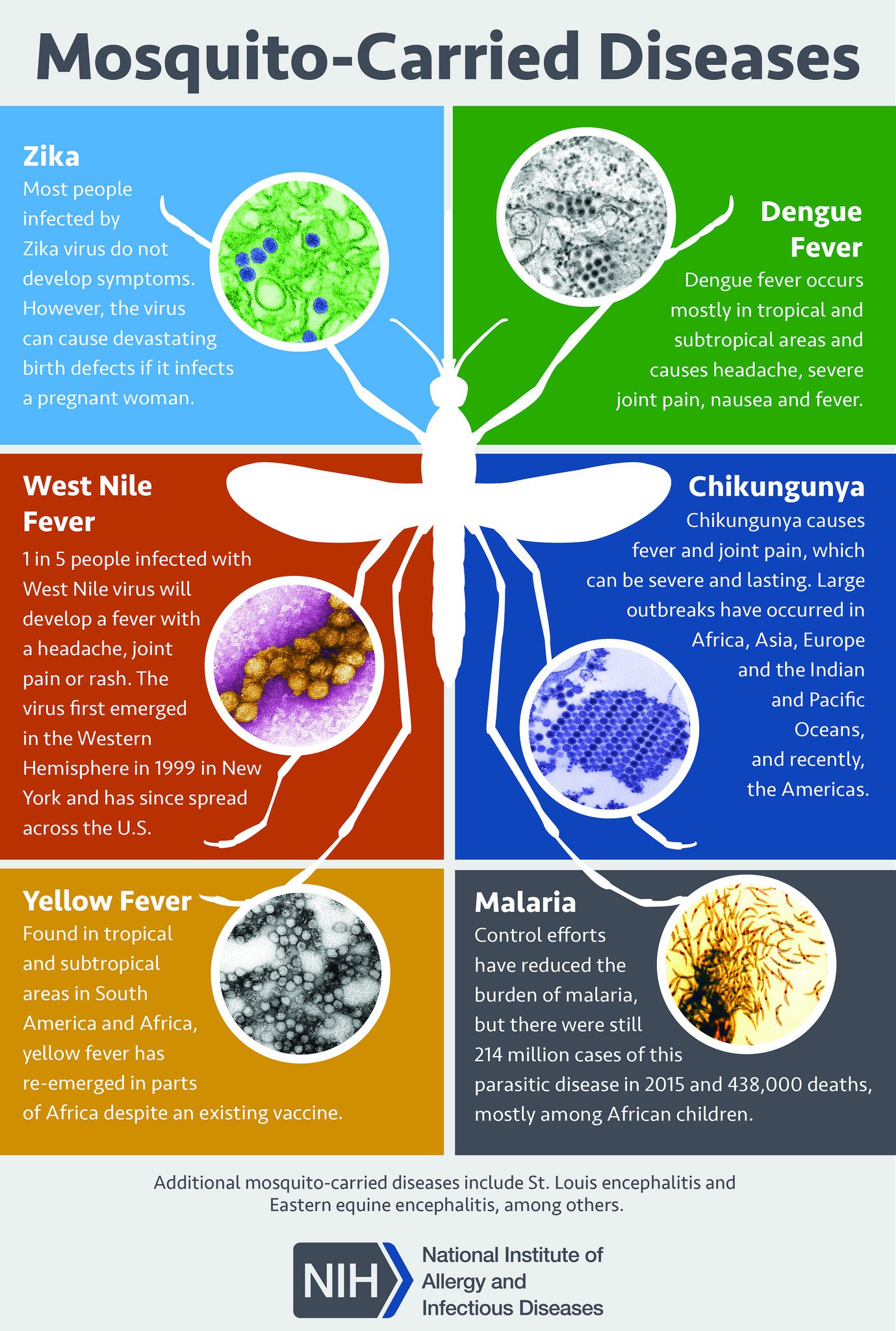 <p>Mosquito-Borne Diseases