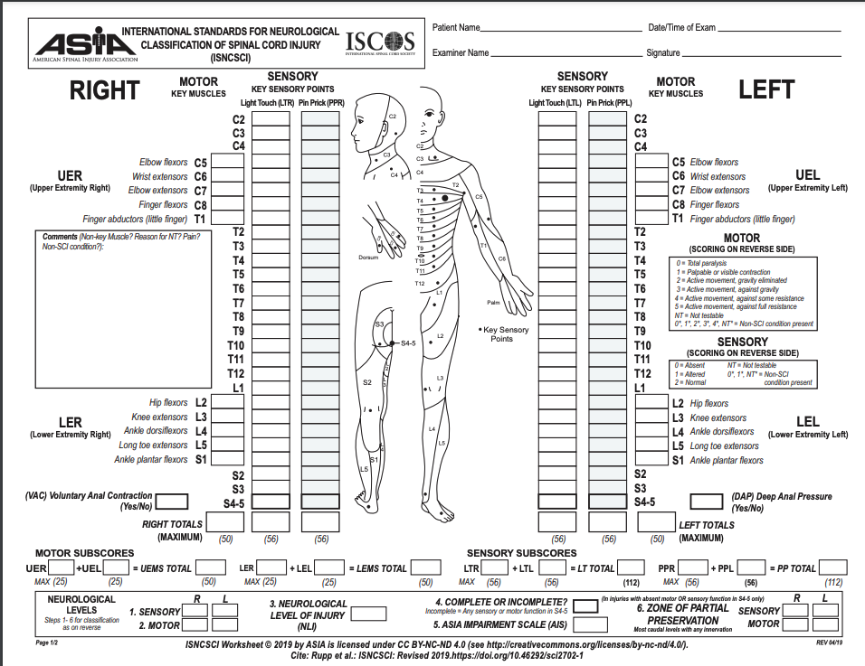 <p>ASIA Spinal Cord Injury Scoring Sheet