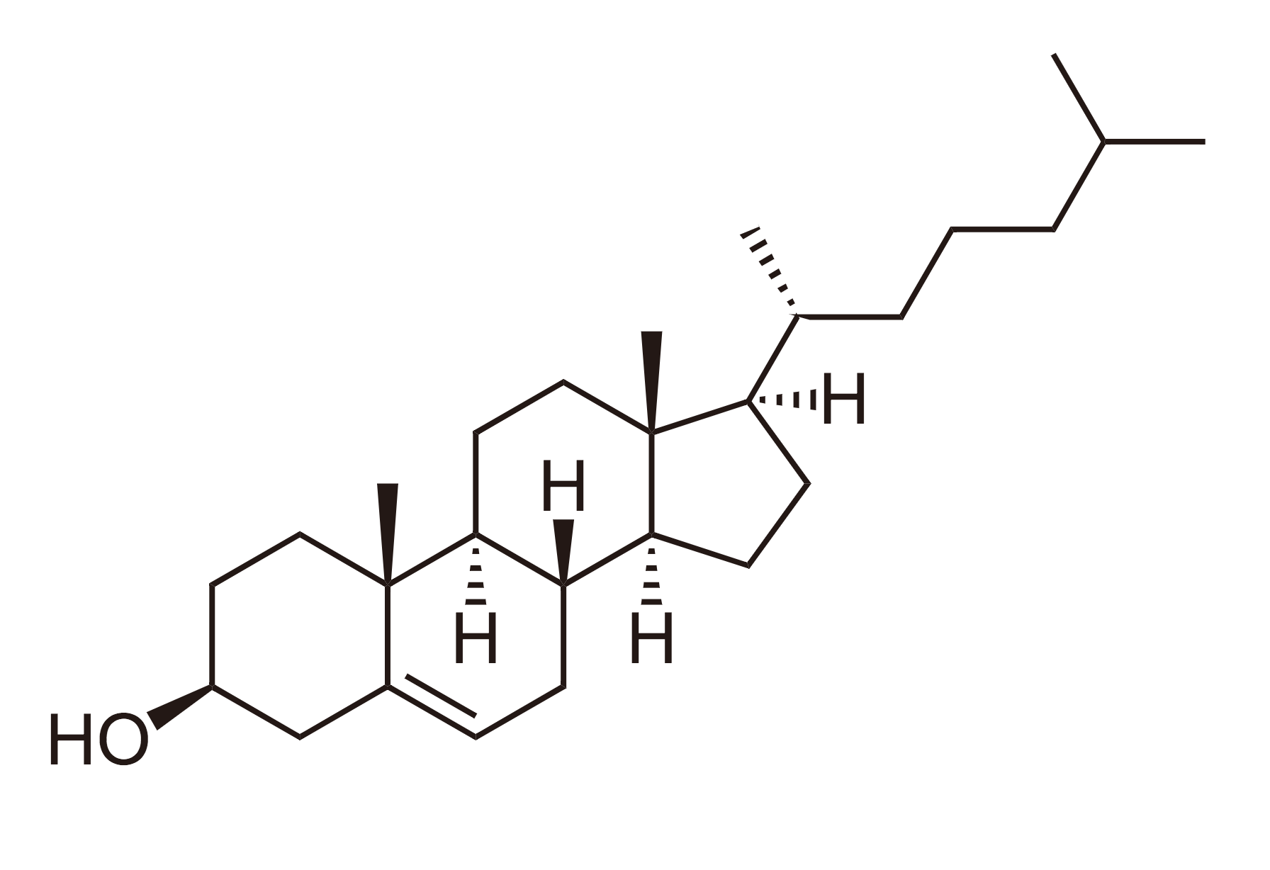 <p>The Molecular Structure of Cholesterol</p>