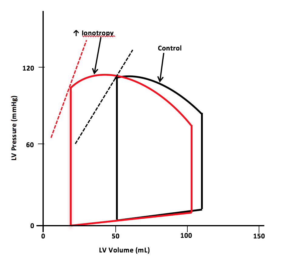 <p>Pressure-Volume Loop for Dobutamine