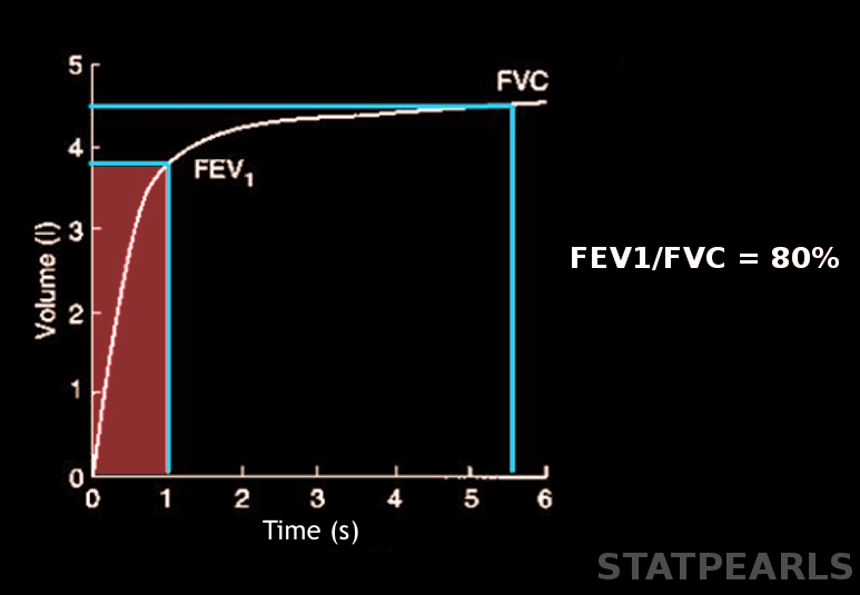 <p>Forced Expiratory Volume