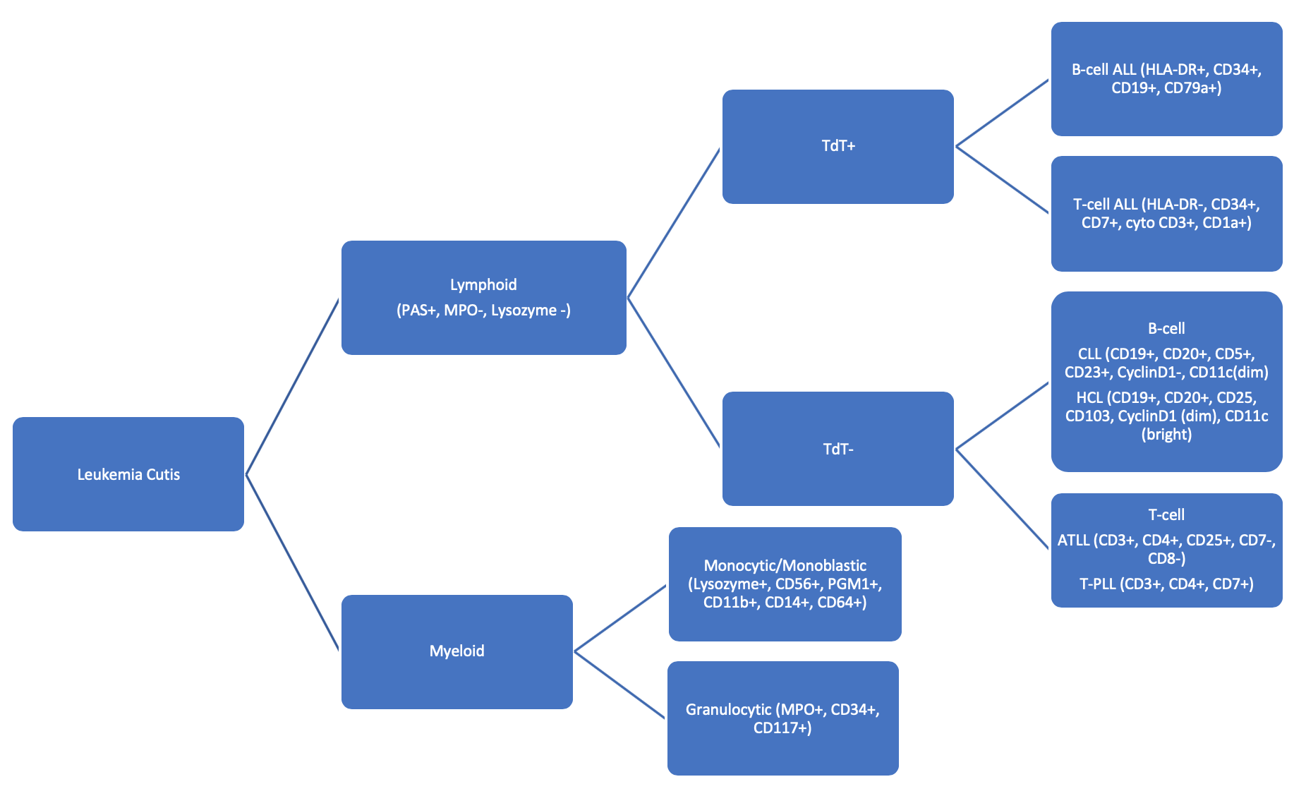 Flow chart with a brief description of cytochemical and immunohistochemical markers to differentiate subtypes of leukemias involving the skin